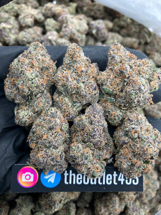 Gelato Louie*